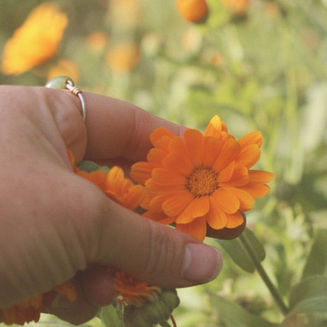 Calendula Skincare: The Golden Flower Behind Softer, Calmer-Looking Skin