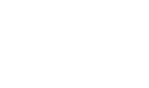 Bare Nature Logo with a clear background