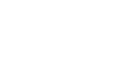 Bare Nature Logo with a clear background